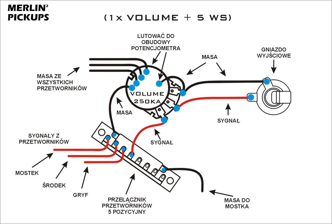 Wilkinson Zebra Humbucker Wiring Diagram - Wiring Diagram